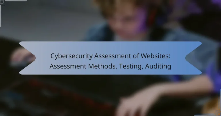 Cybersecurity Assessment of Websites: Assessment Methods, Testing, Auditing