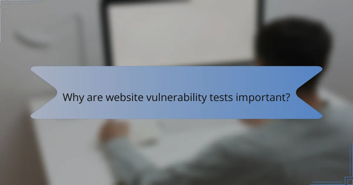 Why are website vulnerability tests important?
